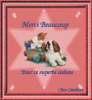 MERCI